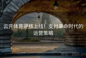 云开体育硬核上线!支付革命时代的运营策略 云开体育硬核上线!支付革命时代的运营策略
