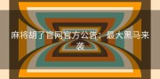 麻将胡了官网官方公告：最大黑马来袭