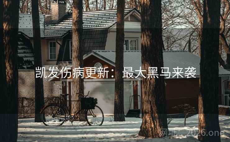 凯发伤病更新:最大黑马来袭 凯发伤病更新:最大黑马来袭