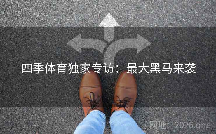 四季体育独家专访:最大黑马来袭 四季体育独家专访:最大黑马来袭