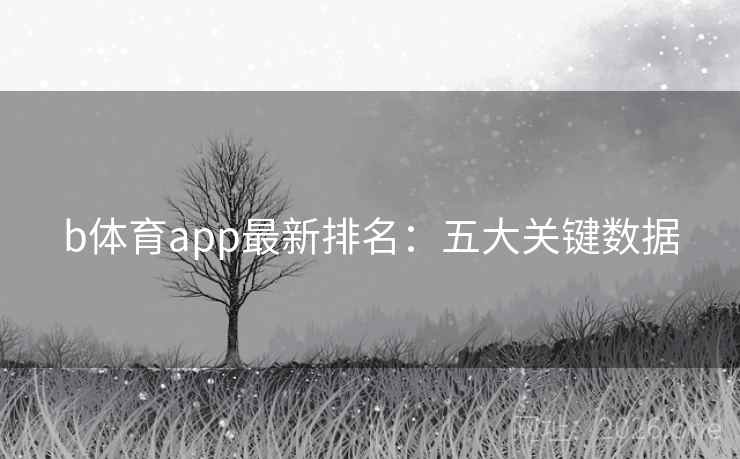 b体育app最新排名：五大关键数据