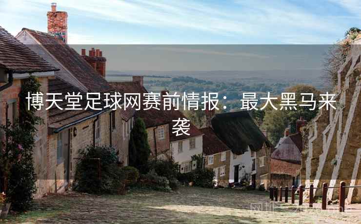 博天堂足球网赛前情报：最大黑马来袭