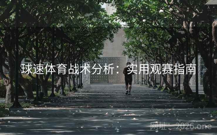 球速体育战术分析:实用观赛指南 球速体育战术分析:实用观赛指南