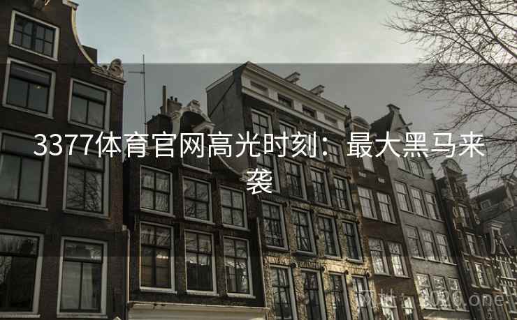 3377体育官网高光时刻:最大黑马来袭 3377体育官网高光时刻:最大黑马来袭