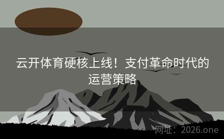 云开体育硬核上线!支付革命时代的运营策略 云开体育硬核上线!支付革命时代的运营策略