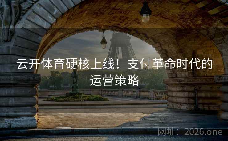 云开体育硬核上线!支付革命时代的运营策略 云开体育硬核上线!支付革命时代的运营策略