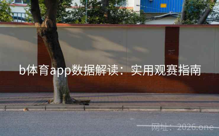b体育app数据解读:实用观赛指南 b体育app数据解读:实用观赛指南